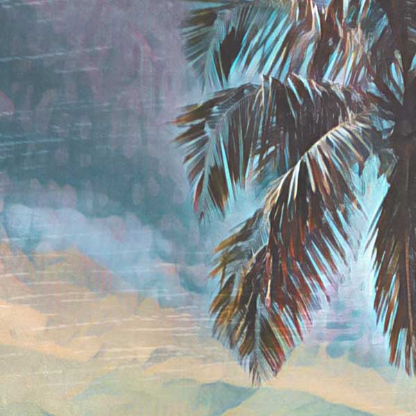 Details of the coconut tree in San Blas poster of Panama