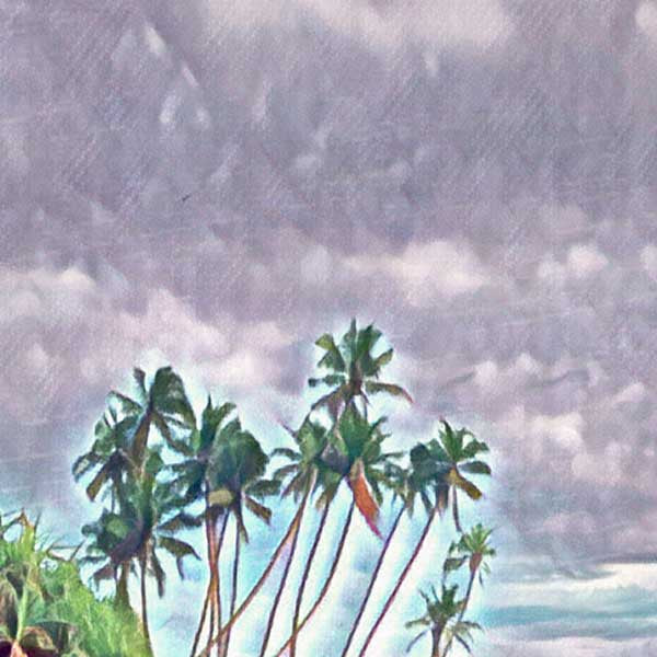 Details of the coconut trees on Koggala beach | Sri Lanka Travel Poster