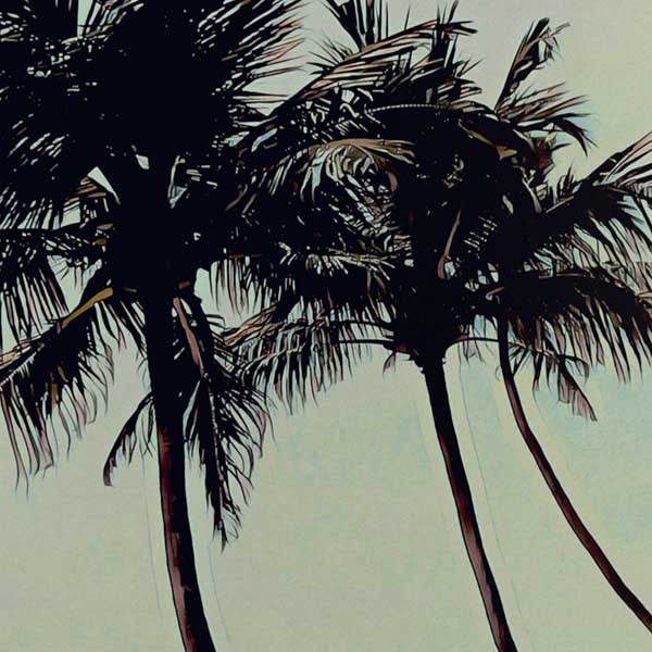 Details of Thalpe poster Wijaya | Sri lanka Gallery Wall Print