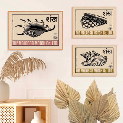 Ensemble de 3 affiches de coquillages indiens