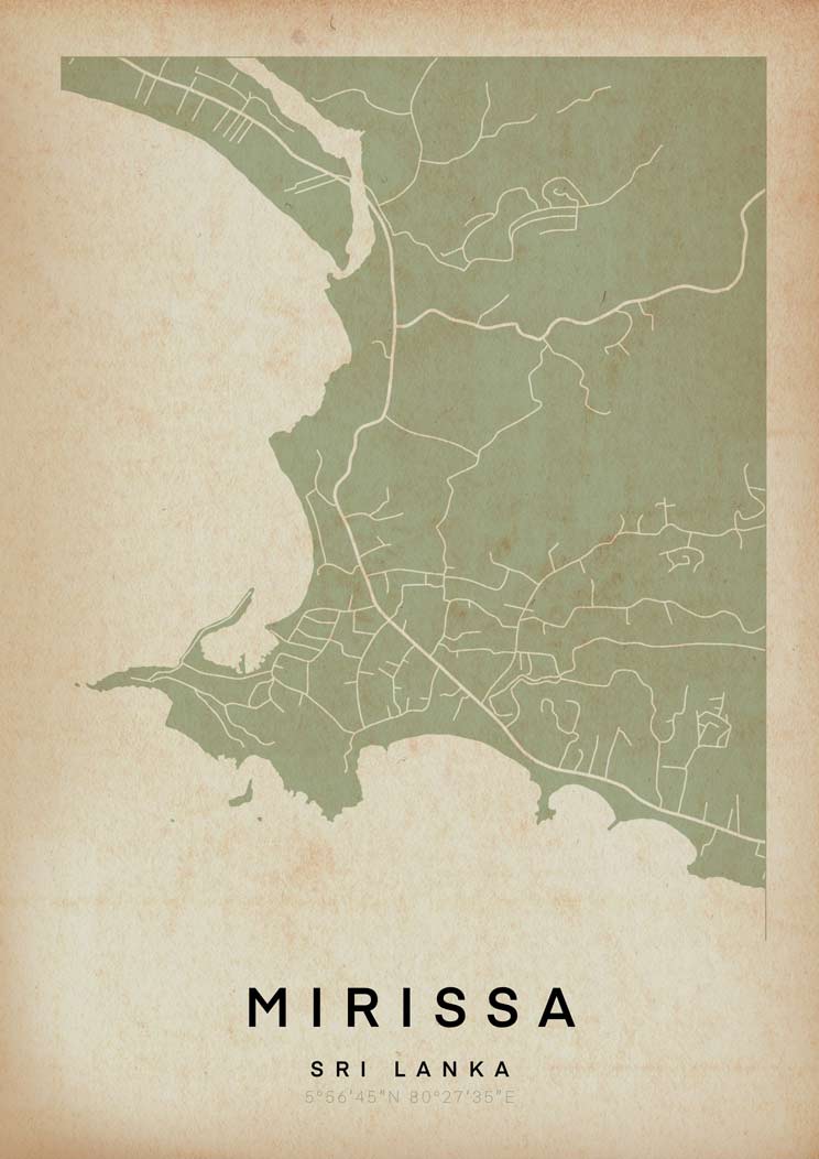 미리사 지도 포스터