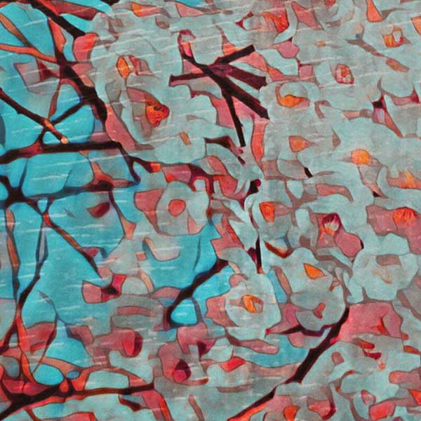 Details of the cherry blossoms (Sakura Flowers in Japanese) | Nagoya Gallery Wall Print