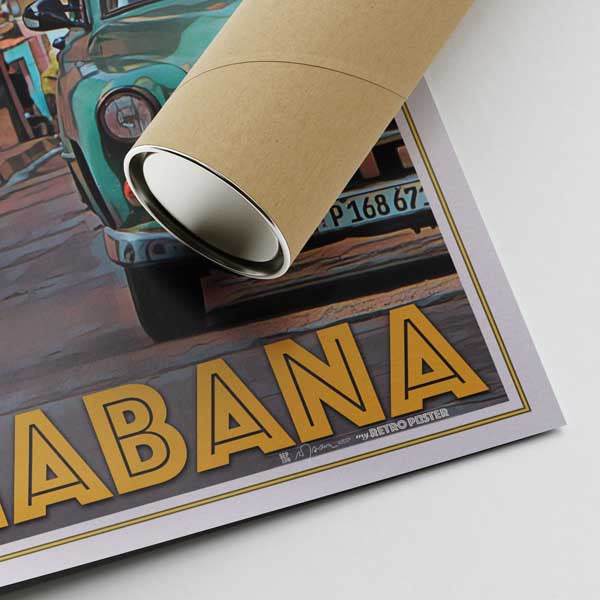 Our posters are printed on museum quality EMA paper with matte finish and shipped in carton tubes for maximum protection