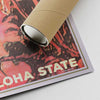 Corner of the Hawaii poster and shipping tube