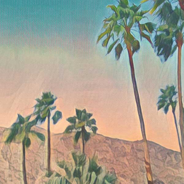 Details of the Palm Springs poster highlighting Alecse's soft focus signature style