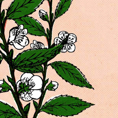 Tea Flowers Poster