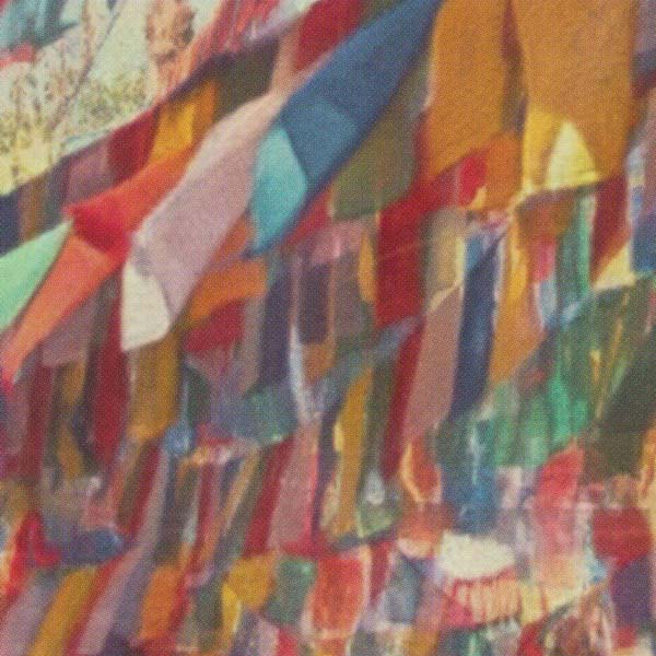 Details of the Darjeeling poster by Alecse