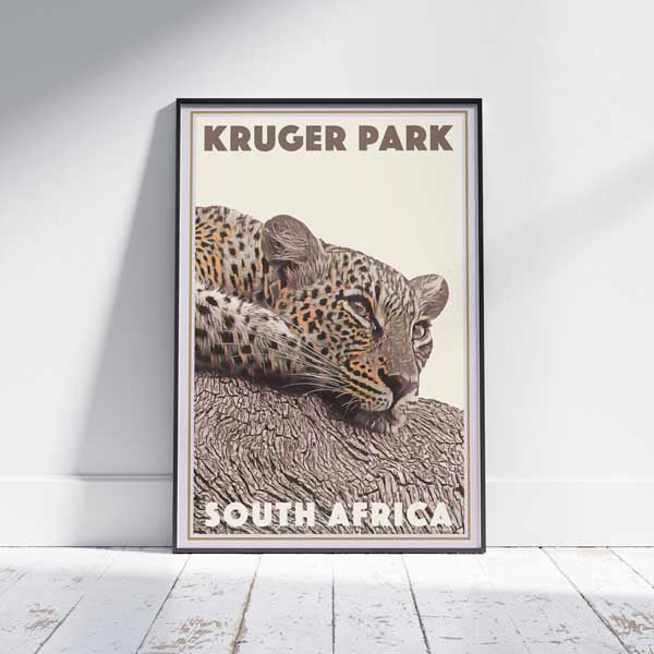 Affiche du parc Kruger Léopard | Impression murale de la galerie Afrique du Sud par Alecse
