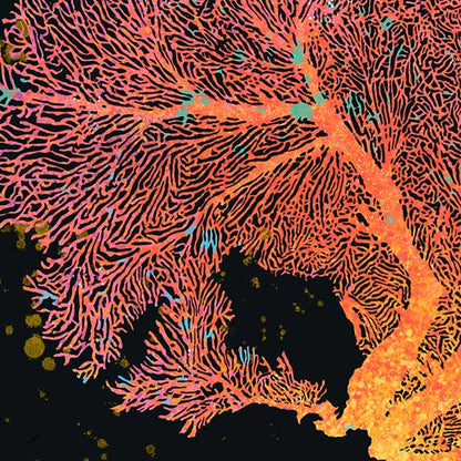 Gorgonian Poster Coral 1