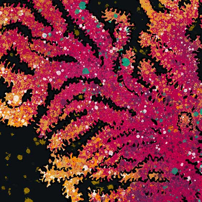 Gorgonian Poster Coral 3