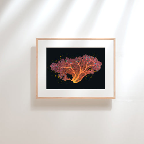 Framed   Gorgonian Coral Poster 1 created by Cha for Vintage Exotics™ª | Asian Pop Art