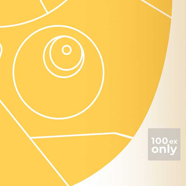 Details of Auroville Map Poster by Cha x The Wanderer Maps™