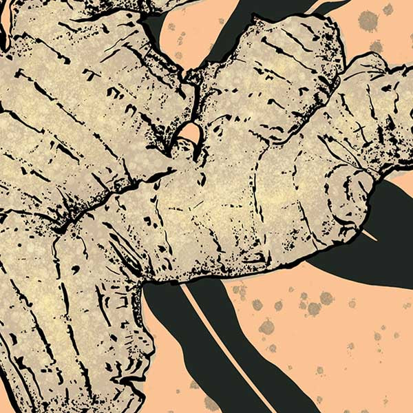 Close-up of the 'Ginger Drip' poster, highlighting the pop art style and intricate design of the ginger root by artist Cha