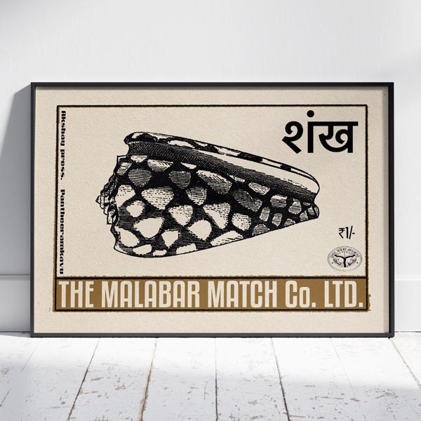 Indische Muscheln Poster Bundle von 3