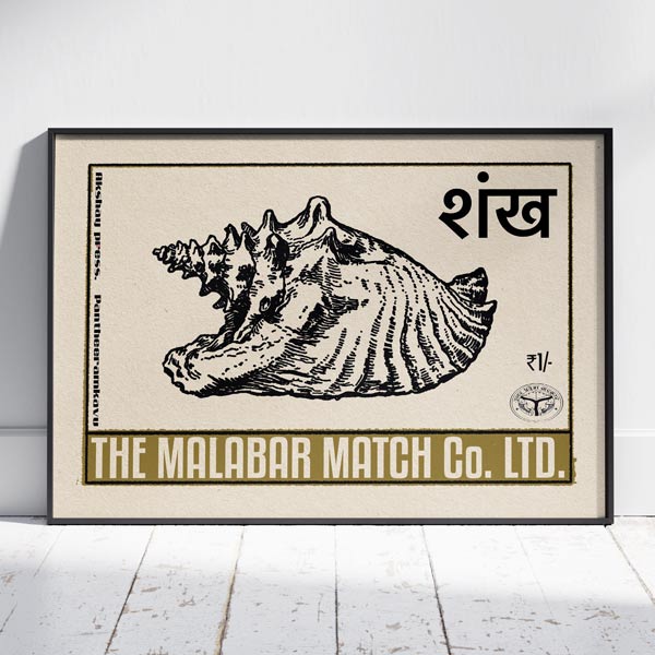 Indische Muscheln Poster Bundle von 3