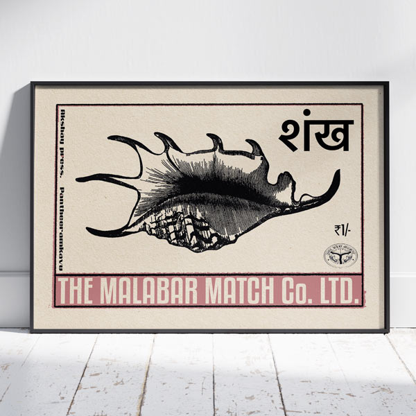 Indische Muscheln Poster Bundle von 3
