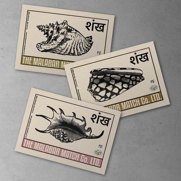 Indische Muscheln Poster Bundle von 3